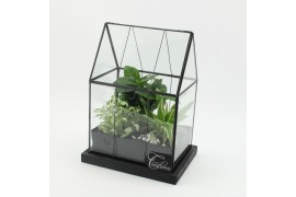 Arrangementen kamerplanten GRCR-2537 Green Essentials terrarium 3 pp