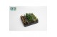 Aloe mix 
