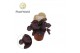 Begonia blad magic colours etna Begonia rex Etna 8,5cm 3 pp 