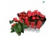 Anthurium andr. madural red royal 5+ 