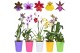 Orchidee Budget mix 1 tak kort met gekleurd plastic pot 