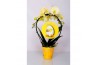 Phalaenopsis 2 tak spielgelboog geel pasen