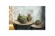 Arrangementen orchidee Jewel Orchid - KARMA Jade | Ludisia | Terrarium 