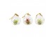 Tillandsia arrangement glas hangbol mini 