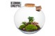 Arrangementen kamerplanten Terrarium Moon (Decorum Concepts) 
