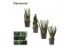 Sansevieria cylindrica mix decorum 