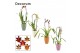 Cambria mix cascade 1 tak mix in Carly (Decorum) 