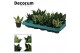 Sansevieria trifasciata hahnii mix decorum 