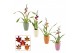 Cambria mix Cambria 1 tak mix kort in Carly (Craft world-collection) 1 