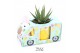 Arrangementen succulenten WOW Haworthia Gasteria, Easter mug and bunny 