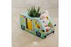 Arrangementen succulenten WOW Haworthia Gasteria, Easter mug and bunny 