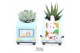 Arrangementen succulenten WOW Haworthia Gasteria, Easter mug and bunny 
