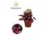 Begonia blad magic colours red bull Begonia rex Red Bull 8,5cm 3 pp 
