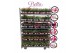 Fuchsia bella mixkar hang/staand mix, kleur per laag 
