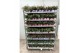 Fuchsia bella mixkar hang/staand mix, kleur per laag 