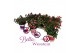 Fuchsia bella mix staand 