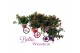 Fuchsia bella fuchsia mix 
