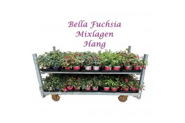 Fuchsia bella mixkar Bella Fuchsia Mixkar Hang (Mix per laag)