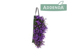 Campanula port. ambella purple Wandhanger paars