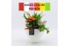 Arrangementen kamerplanten BACR-2510M Basic fundamentals 3 pp 
