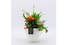 Arrangementen kamerplanten BACR-2510OR Basic fundamentals 3 pp