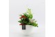Arrangementen kamerplanten BACR-2510R Basic fundamentals 3 pp 