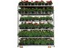 Pelargonium overig - Mix CC, Kleur per Laag 