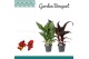Canna exclusieve mix - zonder bloem 