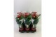 Anthurium andr. aristo rood keramiek 5+ 