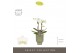 Phalaenopsis multiflora wit Optifriend Sandra 2 tak in Emilia Green Aq 