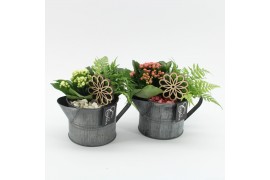 Arrangementen kamerplanten MDCR-2513 Moederdag creatie 2 pp