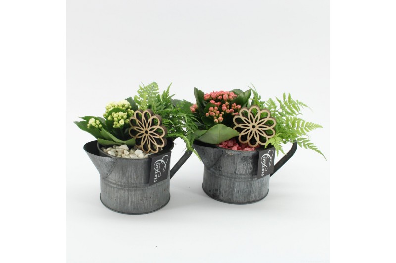Arrangementen kamerplanten MDCR-2513 Moederdag creatie 2 pp Arrangementen kamerplanten MDCR-2513 Moederdag creatie 2 pp