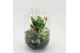 Arrangementen kamerplanten MDCR-2532RZ Moederdag creatie terrarium 3 p 