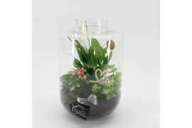 Arrangementen kamerplanten MDCR-2532RZ Moederdag creatie terrarium 3 p