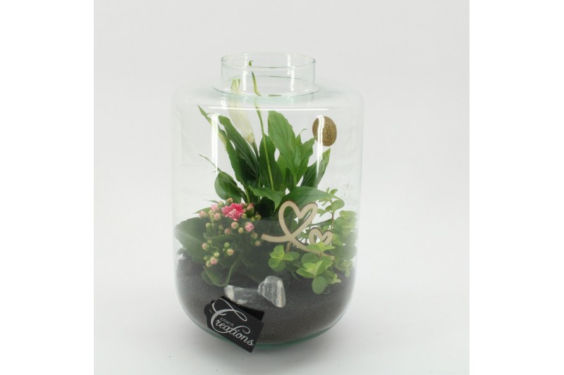 Arrangementen kamerplanten MDCR-2532RZ Moederdag creatie terrarium 3 p Arrangementen kamerplanten MDCR-2532RZ Moederdag creatie terrarium 3 p