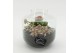 Arrangementen kamerplanten MDCR-2531RZ Moederdag creatie terrarium 2 p 