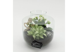 Arrangementen kamerplanten MDCR-2531W Moederdag creatie terrarium 2 pp