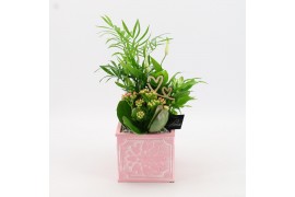 Arrangementen kamerplanten MDCR-2503 Moederdag creatie 3 pp