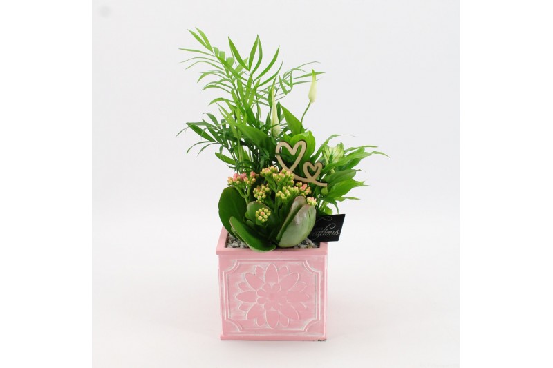 Arrangementen kamerplanten MDCR-2503 Moederdag creatie 3 pp Arrangementen kamerplanten MDCR-2503 Moederdag creatie 3 pp