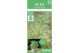Acer palmatum butterfly 