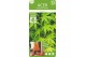 Acer palmatum ryusen 90 cm cm stam 