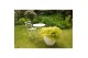 Acer palmatum cascade gold® 40 cm cm stam 