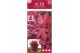 Acer palmatum twomblys red sentinel® extra kwaliteit 