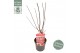 Acer palmatum twomblys red sentinel® extra kwaliteit 