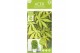 Acer palmatum cascade emerald 40 cm cm stam 