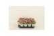 Kalanchoe calandiva weaver 