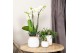 Keramische pot Kolibri Home Vintage Bowl white 