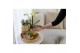 Keramische pot Kolibri Home Vintage Bowl pot khaki 9 cm 