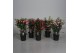Fuchsia mix op rek 