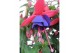 Fuchsia mix op rek 